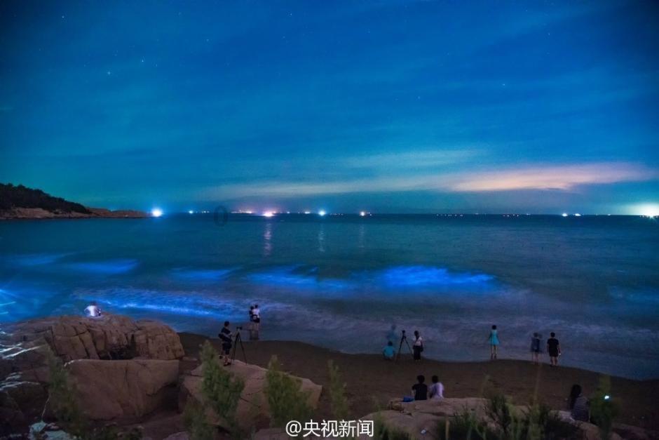 大学生就业难，真的怪父母嘛？游戏画面
