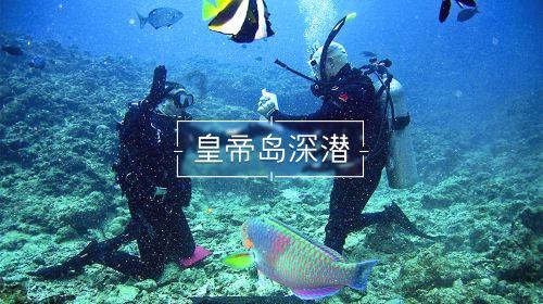 崩坏3